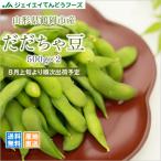 予約商品 産地直送 訳あり だだちゃ豆 おつまみ 山形特産 約1kg （500g×2） 山形県産