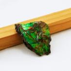 カナダ(アルバータ州)産 幻の宝石 アンモライト化石 赤緑系 寸法約2.5×2.5cm 重量約4.2g バッファローストーン