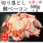 切り落とし 鯨ベーコン 500g×2 国産 商業捕鯨 クジラ肉 お買い得 送料無料