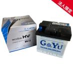 ショッピングエコ 【法人限定】HV-L1 G&Yu LN1 ハイブリッド車補機用バッテリー グローバルユアサ ecoba-HV エコバ ハイブリッド  プリウス C-HR