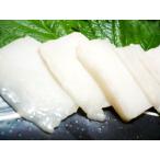 コウネ (たてがみ刺し) 500g ※醤油10P付
