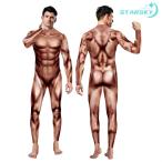 全身タイツ　筋肉 衣装 コスチューム 筋肉 人体模型 人体 模型 筋肉模型 医学模型 解剖模型 医学模型 人体解剖 変装 仮装　ハロウィン コスプレ