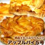 アップルパイ ケーキ 5号 長野県産 絶品りんご ホール 誕生日 デザート スイーツ 冷凍 送料無料