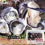 . имеется сырая устрица ... прекрасный человек 500g сырой еда для моллюски время ограничено 