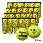 ショッピングミニオンズ ウイルソン Wilson テニスボール MINIONS TENNIS BALLS（ミニオンズ テニス ボール） 3球入 1箱（24缶/72球） WR8202401001