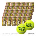  Dunlop DUNLOP теннис мяч DUNLOP FORT( Dunlop * four to)[. главный ] мяч 2026 год .2 лампочка входить 1 коробка (30 жестяная банка /60 лампочка ) DFF26ETOYL2CS60