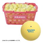  Kenko KENKO soft теннис мяч имя inserting соответствует тренировка лампочка желтый корзина ввод 120 лампочка TSSYK-V