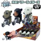  миникар фрикцион Bakuso Bear rider`s 3 вид ассортимент 12 штук входит BOX мотоцикл езда животное большой head животное медведь 201-693