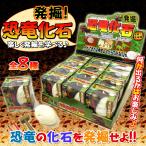 Yahoo! Yahoo!ショッピング(ヤフー ショッピング)発掘 恐竜化石 12個入りBOX 体験 おもちゃ