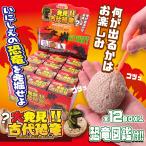 Yahoo! Yahoo!ショッピング(ヤフー ショッピング)大発見 古代恐竜 12個入りBOX 体験 おもちゃ 206-633