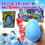Yahoo! Yahoo!ショッピング(ヤフー ショッピング)びっくりメガたまご 海のどうぶつ 1個