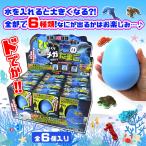 Yahoo! Yahoo!ショッピング(ヤフー ショッピング)びっくりメガたまご 海のどうぶつ 6個入りBOX