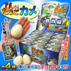 Yahoo! Yahoo!ショッピング(ヤフー ショッピング)びっくりたまご カメ 12個入りBOX