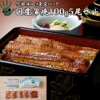 ショッピングうなぎ うなぎ 鰻 国産 プレゼント ギフト 蒲焼 100g×5セット ての字 化粧箱入り