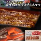 うなぎ 鰻 国産 プレゼント 蒲焼 紀州備長炭焼 120g×5セット ての字 化粧箱入り 手焼き