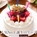誕生日ケーキ バースデーケーキ 宅配 いちご メッセージ 面白い サプライズ 子供 フルーツ 本州 送料無料 ホワイトベリー 5号