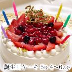 誕生日ケーキ 誕生日プレゼント バースデーケーキ ショートケーキ 苺 おしゃれ かわいい 北海道産 生クリーム / プレミアムホワイトベリー5号 4?6人分