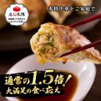 ショッピングギョウザ 餃子 取り寄せ 送料無料 点心札幌　餃子16個入り×10パック　(合計160個)　約26人前　冷凍　(ぎょうざ ギョウザ 食品 惣菜 点心 中華 北海道 餃子館 餃子苑)