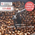\お中元ギフト天津甘栗15%増量!/ 天津甘栗 2000g→2300g【当日焼き上げた栗を配送!】テレビで紹介された品 この道50年の職人が焼いた甘栗
