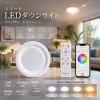 天井埋込型 ダウンライト LED電球 φ100 調光調色 LEDダウンライト 天井照明 玄関 廊下 節電 照明 玄関灯 埋込穴φ100 拡散光 スポットライト 薄型 端子台付き