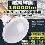 バラストレス水銀灯LED PAR65 E39 100W 16