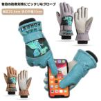 手袋 キッズ スキー 子供 スマホ対応 グローブ 防水 裏起毛 防風 ウィンタースポーツ スノーボードグローブ 手袋 スキー ジュニア 恐竜 男の子