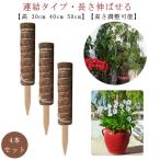  декоративное растение pothos фигурная скобка высота 30cm 40cm 50cm садоводство фигурная скобка натуральный кокос фигурная скобка монстера фигурная скобка высота регулировка возможность объединенный возможность садоводство для цветок .