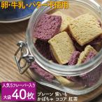 【訳あり 在庫処分！賞味期限11月4日まで】 おからクッキー ダイエット 大袋 40枚入1袋（プレーン 紫いも かぼちゃ ココア 紅茶）