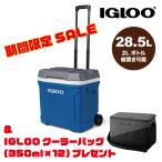 クーラーボックス キャスター付き 28.5L イグルー ラティ 30QT アウトドア 部活 釣り 小型 持ち運び 00034658 限定価格& IGLOO クーラーバッグプレゼント