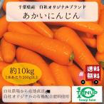 にんじん　ニンジン　人参　千葉県産　自社農場　産地直送で新鮮　自社製造のこだわり有機肥料で食味・栄養価アップ　約10kg　