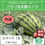 ショッピングスイカ すいか スイカ 西瓜 千葉県富里市産 産地直送！ 皮岸まで甘い高級ブランド　特選「ごろり甘太郎スイカ」 1玉 3Lサイズ