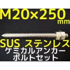 ケミカルボルト アンカーボルト ステンレス SUS M20×250mm
