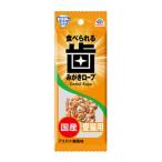 クロネコゆうパケット送料無料　アース・ペ