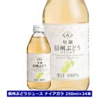 アルプス旬摘信州ぶどうナイアガラジ...