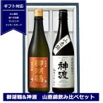 日本酒セット ギフト 長野 山恵錦 飲み比べセット 720ml×２ 御湖鶴 純米吟醸 山恵錦 火入れ 神渡 辛口 特別純米 日本酒