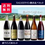 赤ワインセット　一升瓶　長野ワイン　1800ml ×6本　1ケース　送料無料　国産　ワイン　飲み比べ　赤ワイン　一升瓶ワイン