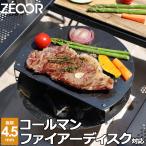 ZEOOR(ゼオール) CO45-19 フラット 鉄板 板厚4.5mm