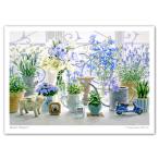 グリーティングカード「アパルトマンの窓辺」