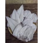 Yahoo! Yahoo!ショッピング(ヤフー ショッピング)大奉仕品！国産地物のみ・刺身用イカ満載セット　若狭の「春夏秋冬」鮮度抜群の刺身イカが一つのセットに！！！