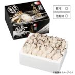 牡蠣 生食用 むき身 500g  生牡蠣 お取り寄せ