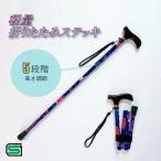  складной эластичный палка модный трость цветочный принт палка tuck упаковка [ ограниченное количество сильно сниженная цена ] FUX009606S266 трость синий × цветочный принт .... бесплатная доставка 