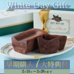 ホワイトデー 早割 10％OFF 2026 お返し ガトーショコラ チョコレートケーキ お取り寄せ スイーツ 高級 送料無料 ギフト 人気