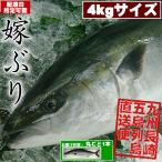  невеста ..( невеста .) круг .. 1 шт. (4kg размер )