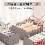 下着収納ボックス 収納ケース 小物収納 折りたたみ 省スペース 引き出し収納 ブラジャー/下着/衣類/アンダーウェア/靴下/ネクタイ 仕切りボックス