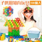 知育玩具 キッズビルディングブロック プラスチック雪片 おもちゃ 500ピース  収納ボックス付き 男の子 女の子 贈り物 誕生日プレゼント