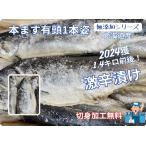 本塩ます(北海道産)激辛口1.4キロ前後 本ます 本鱒 塩マス 昔ながら 激辛ます 切身加工無料 1本姿 無添加シリーズ