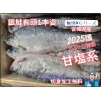  кижуч ( Miyagi префектура производство ..) соль . обработка 2.2 kilo передний и задний (до и после) . соль кижуч кижуч 1 шт. . порез . обработка бесплатный без добавок 2025 новый предмет поступление 
