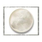 Yahoo! Yahoo!ショッピング(ヤフー ショッピング)シェル貝 ラウンドカボション 約12mm ルース 裸石 《1個》