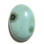 󥸥㥹ѡ 롼 1 Х륫ܥ 18x13x5.2mm  ŷ