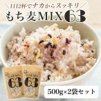 贅沢穀類 もち麦MIX63 2個入セット 夏ギフト お中元